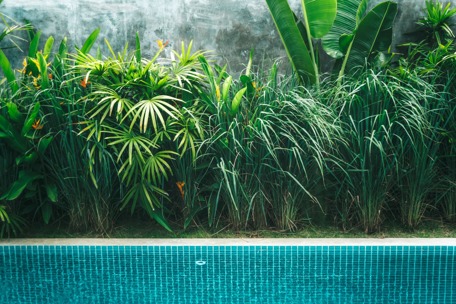 Aménagement extérieur autour d une piscine hors sol