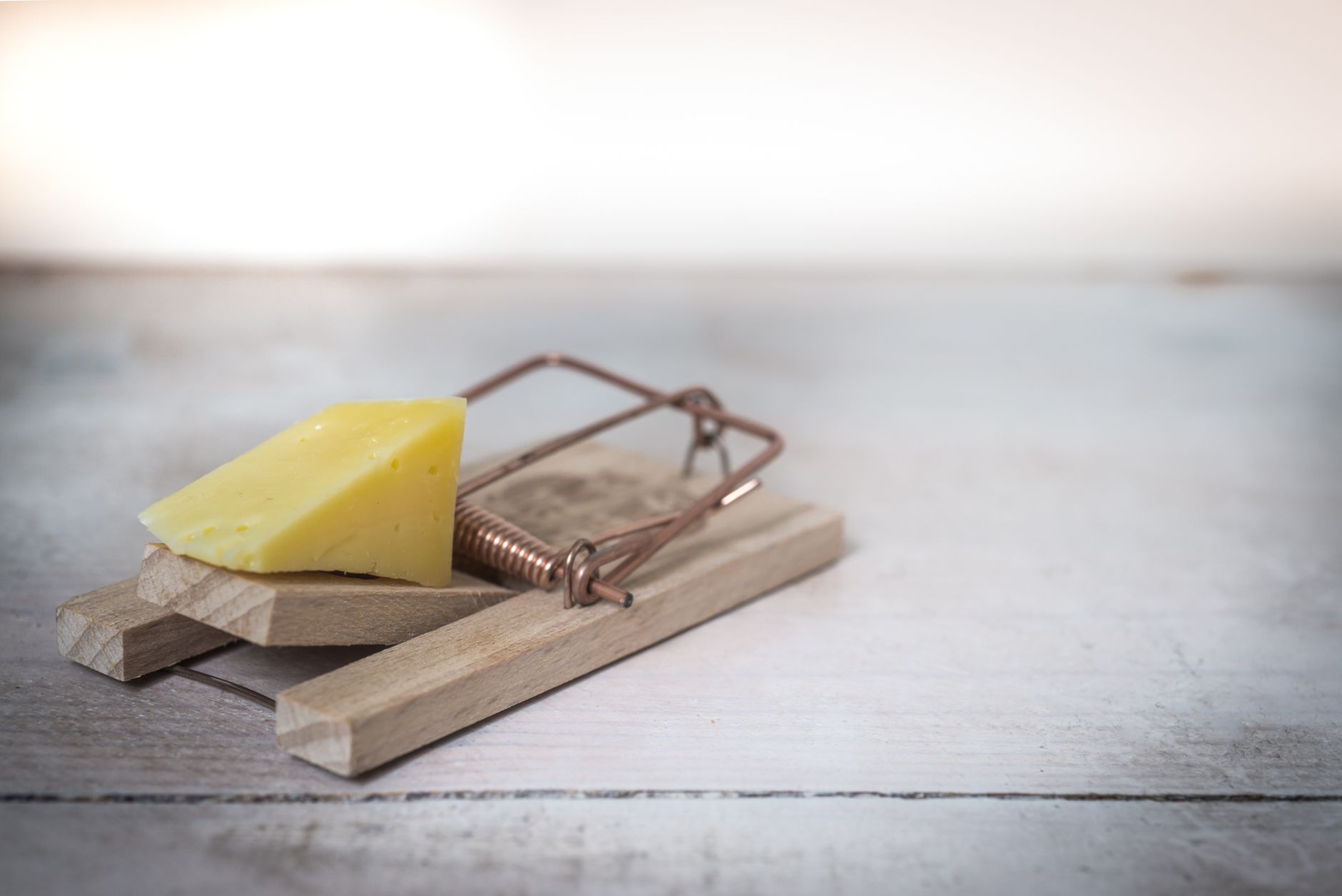 Piège à souris en bois avec appât